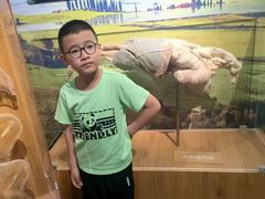 -中国大熊猫保护研究中心雅安碧峰峡基地