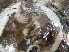 蒸汽海鲜自助-同道蒸汽海鲜烧烤自助(刘庄夜市店)