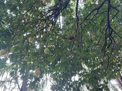 -湖滨客舍·湖北菜