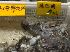 -老虎滩船说·海胆水饺·大连海鲜(老虎滩店)