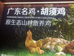 -野·大山里野生菌石锅土鸡(益田假日店)