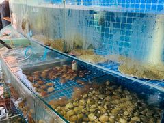 水产区-蟹谢蒸鲜自助餐厅