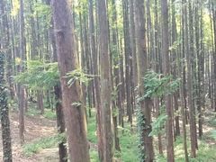 -山王坪喀斯特国家生态公园