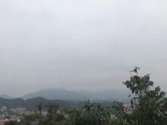 -福道