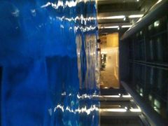 iphone_upload_pic-上海浦东康桥绿地假日酒店