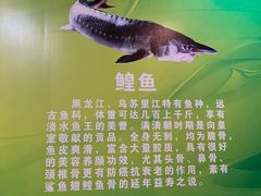-老刘生态大鱼坊铁锅炖鱼(赛马场店)