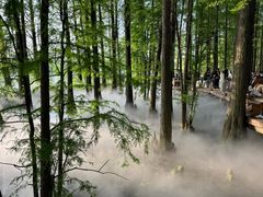 -东湖落雁景区