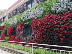 -岳阳道小学(大理道校区)