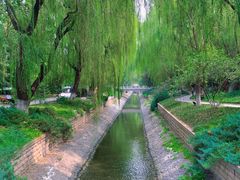 -菖蒲河公园