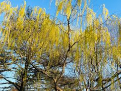 -青岛海滨风景区