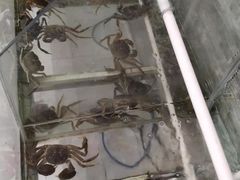 -呼吸森林·生态农庄农家乐私房菜