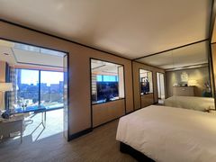 -拉斯维加斯永利酒店