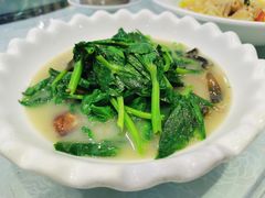 上汤豆苗-金米箩大酒店(五角场店)