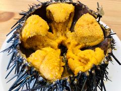 -海胆小馆(东北水饺·春柳店)