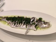 青花椒蒸大白刁-湖锦酒楼·32年地道湖北菜(光谷店)