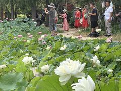 -洛阳市隋唐城遗址植物园