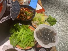 -探鱼·鲜青椒爽麻烤鱼(朝阳悠唐广场店)
