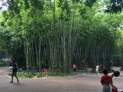 -晓港公园