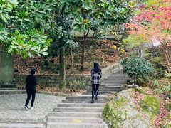 -溪口-滕头旅游景区