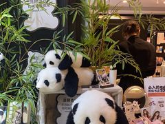 -轩客会(熊猫书店)