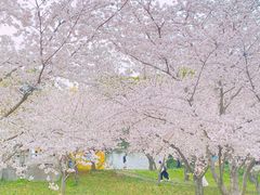 -苏州上方山国家森林公园