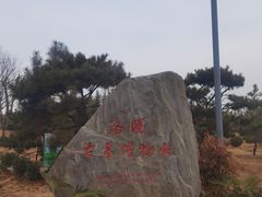 -洛阳古墓博物馆