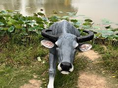 -焦岗湖旅游度假区
