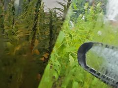 -观澜湖生态运动公社
