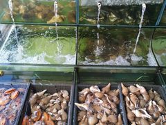 -民丰饭店(海丰黄江医院西)