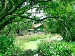 -西湖风景区-江洋畈生态公园