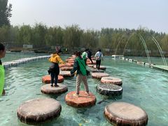 -东方巨龟苑景区