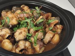 -大班家政月嫂育儿嫂(深圳NO.1店)