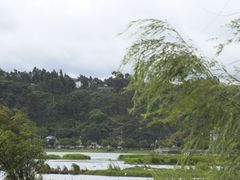 -洱海月湿地公园