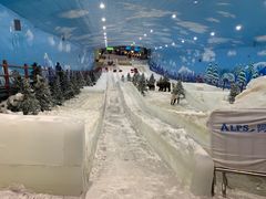 -世界之窗阿尔卑斯冰雪世界