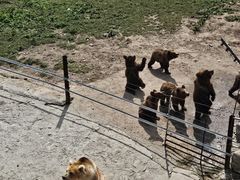-哈尔滨北方森林动物园
