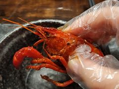 -海岛八号龙虾烧烤田鸡(蓝天路总店)