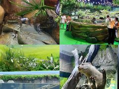 -海合安成都极地海洋公园