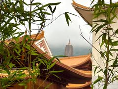 -深圳仙湖植物园