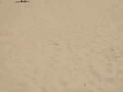 -碧海金沙