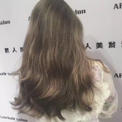 -T8 SALON