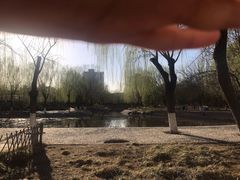 -丰台科技园生态主题公园