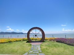 -野狸岛