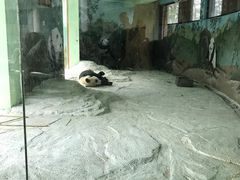-南昌动物园