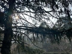 -庐山风景区花径公园
