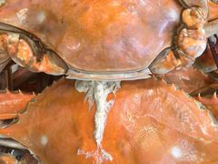 -北塘海鲜·天津菜(大光明桥旗舰店)