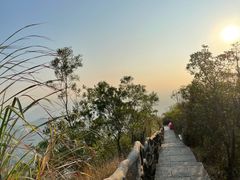 -梧桐山风景名胜区