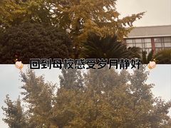 -四川大学(望江校区)