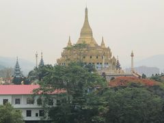 -瑞丽独树成林风景区