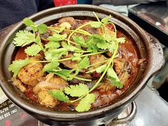麻辣鲶鱼煲-川香煲(茅台路店)