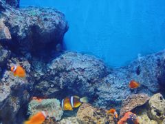 -福州罗源湾海洋世界旅游区